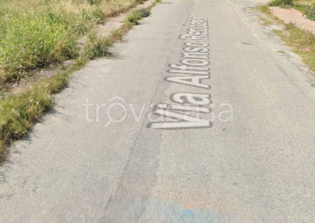 immagine annuncio 10 di 12