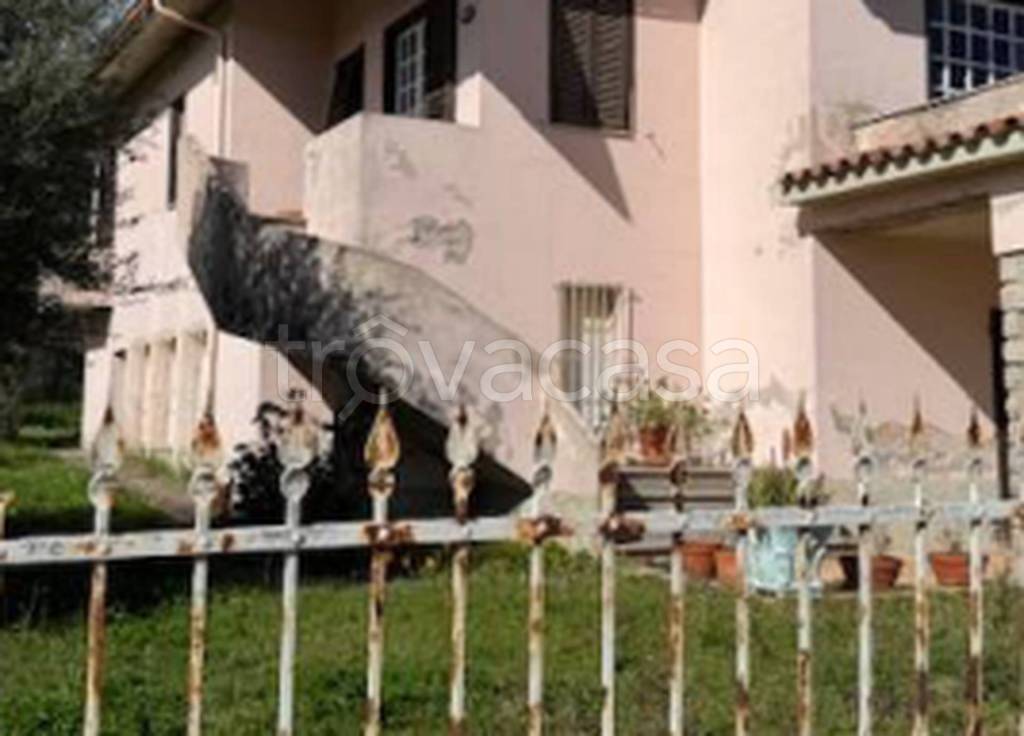 immagine annuncio 5 di 11