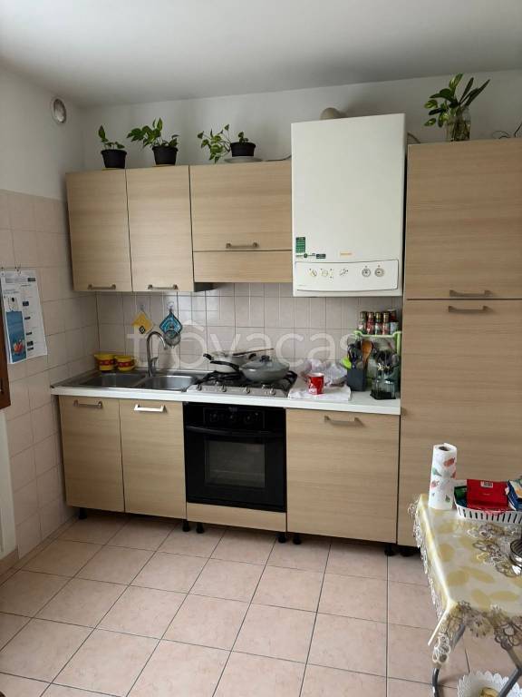 immagine annuncio 2 di 12