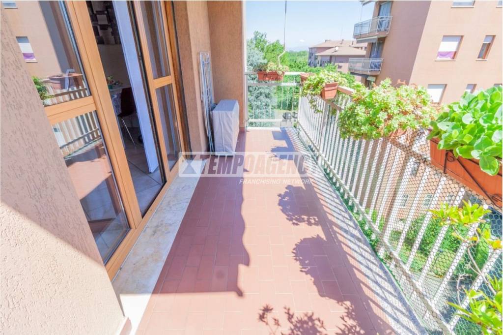 immagine annuncio 6 di 15