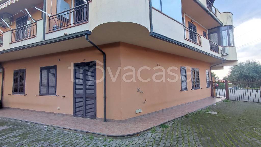 immagine annuncio 7 di 8