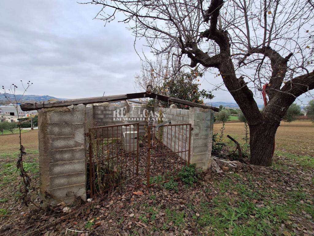 immagine annuncio 11 di 15