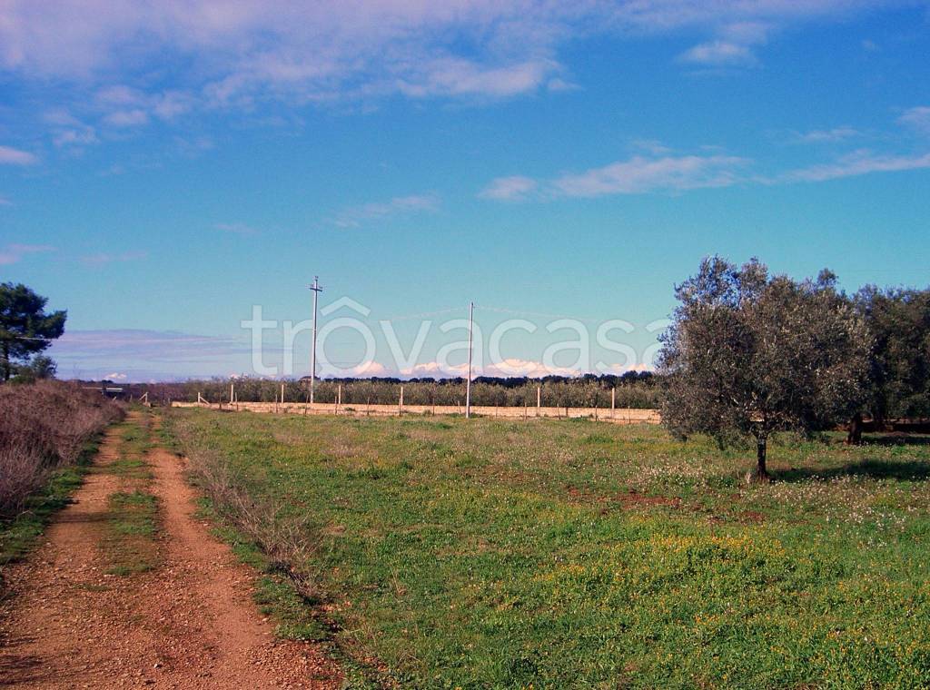 immagine annuncio 6 di 10