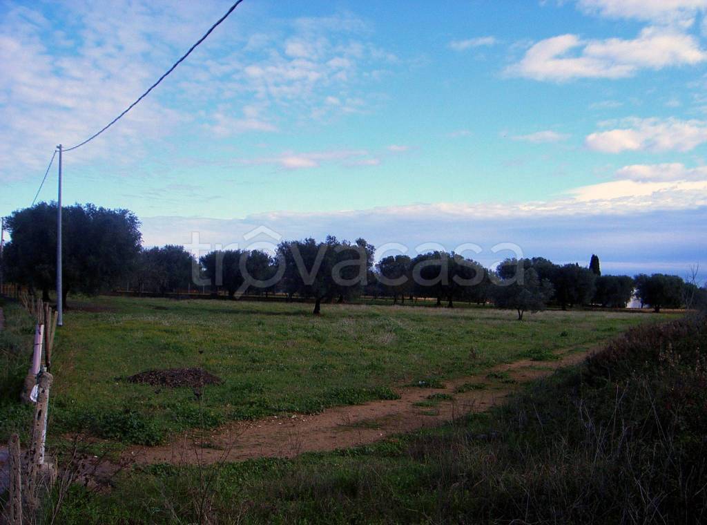 immagine annuncio 8 di 10