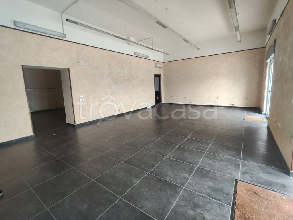 immagine annuncio 4 di 8