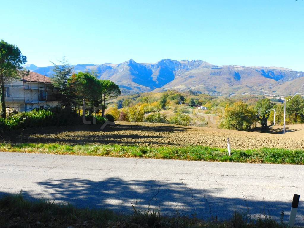 immagine annuncio 2 di 11