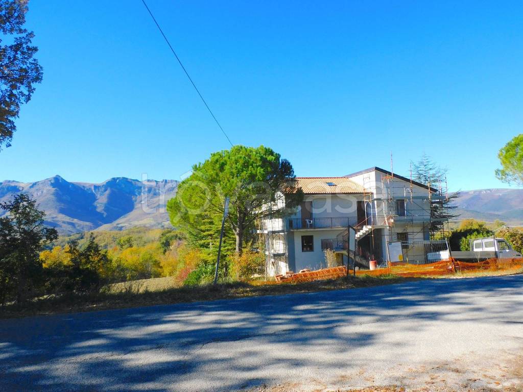 immagine annuncio 4 di 11