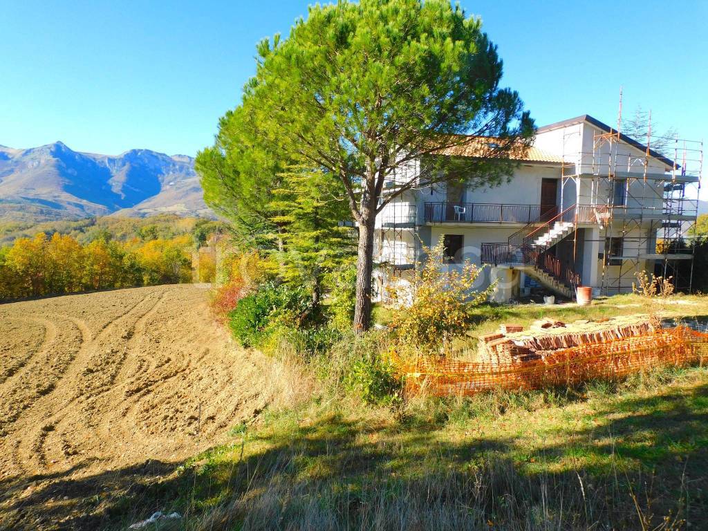 immagine annuncio 5 di 11