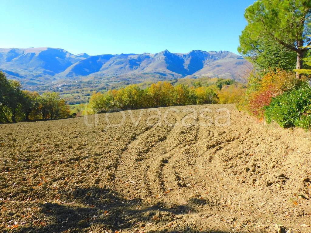 immagine annuncio 8 di 11