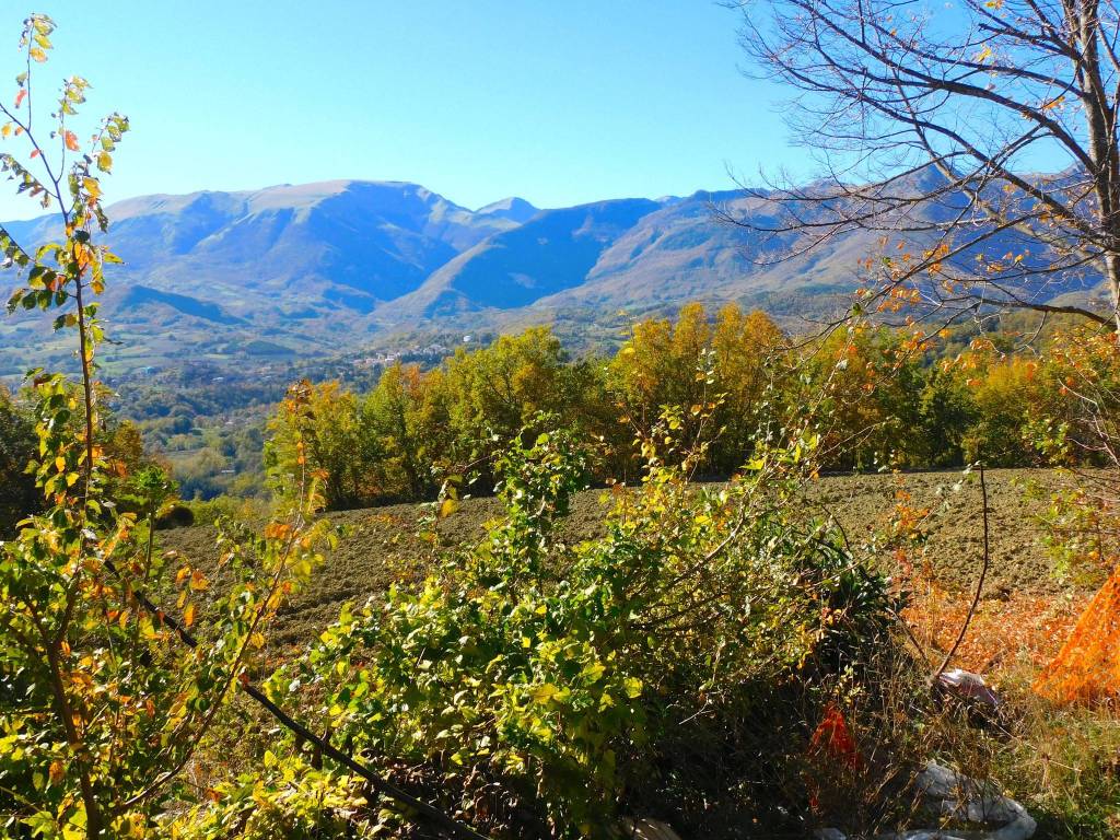 immagine annuncio 9 di 11