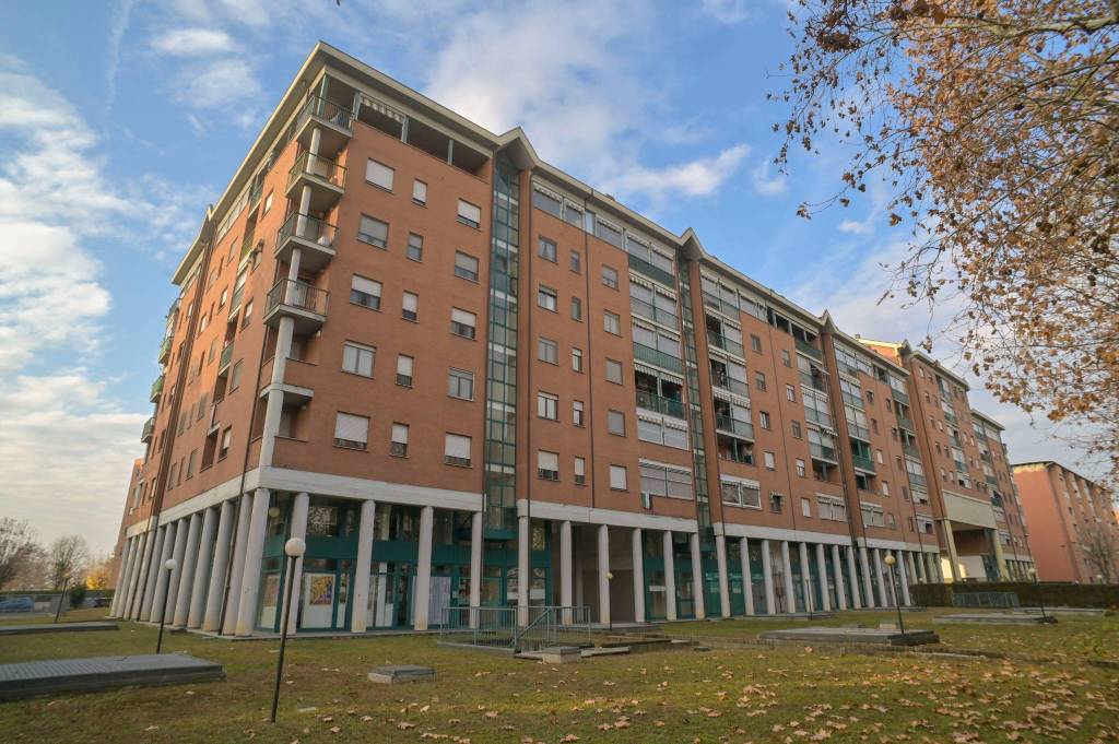 immagine annuncio 1 di 15