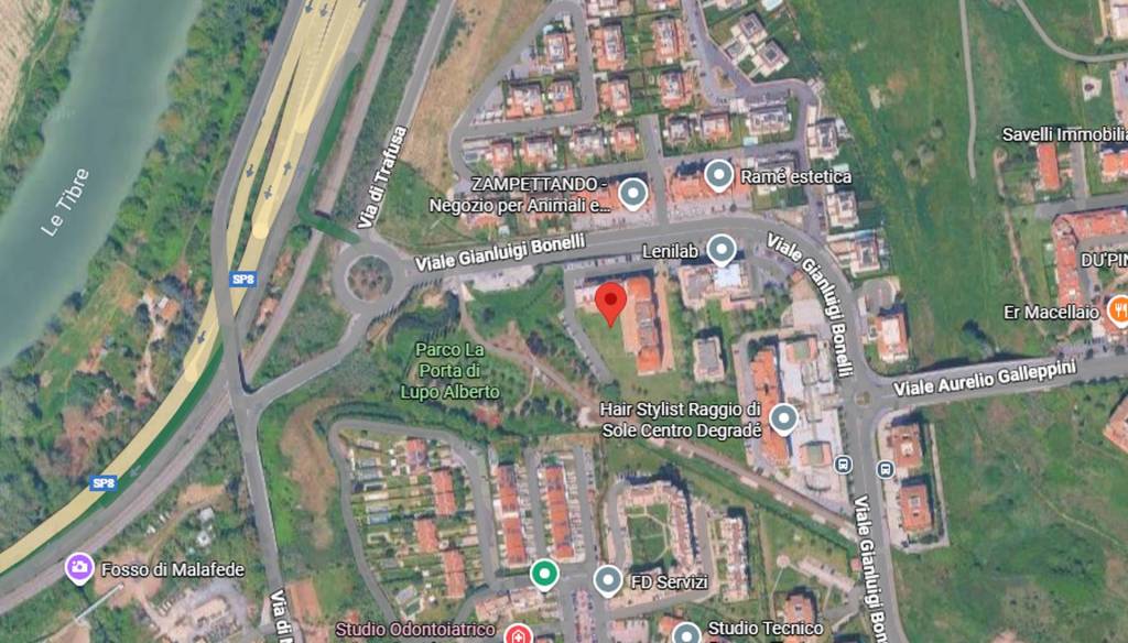 immagine annuncio 9 di 11