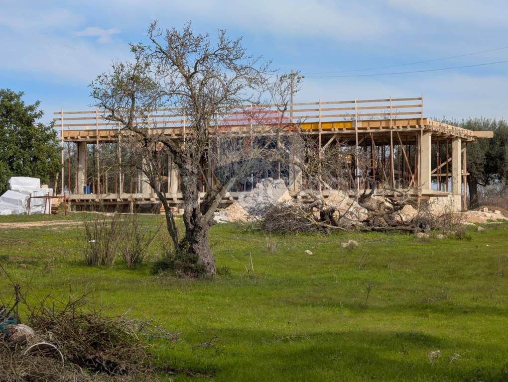 immagine annuncio 1 di 14