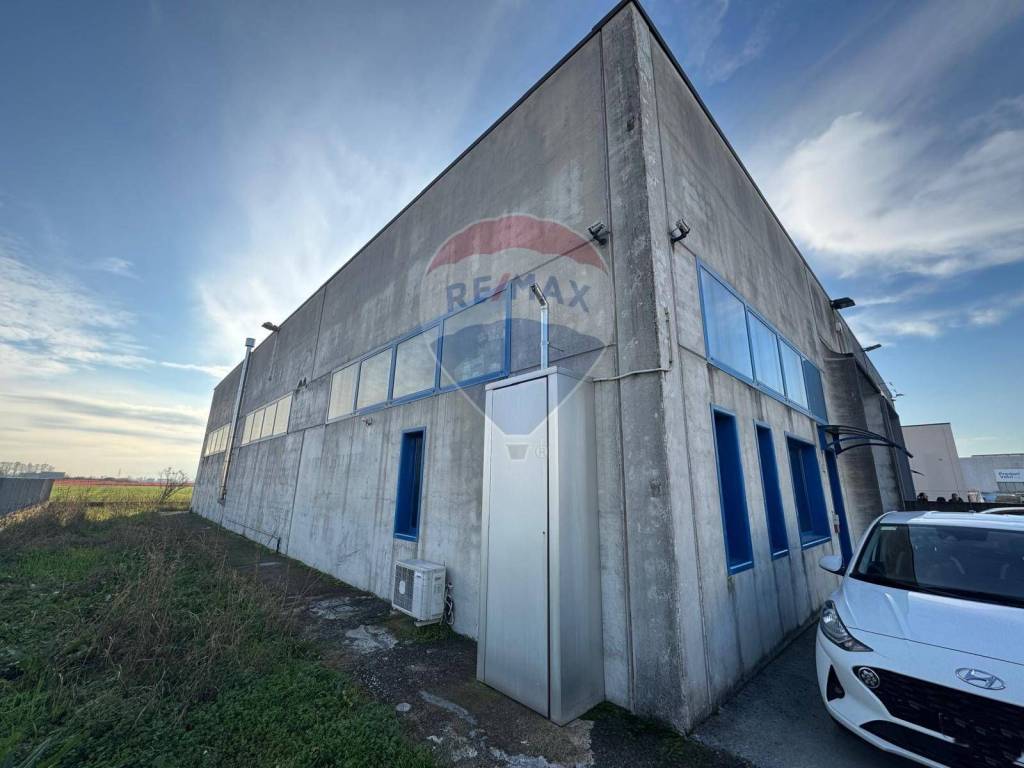 immagine annuncio 4 di 11