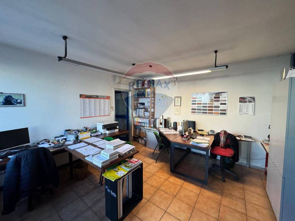 immagine annuncio 8 di 11