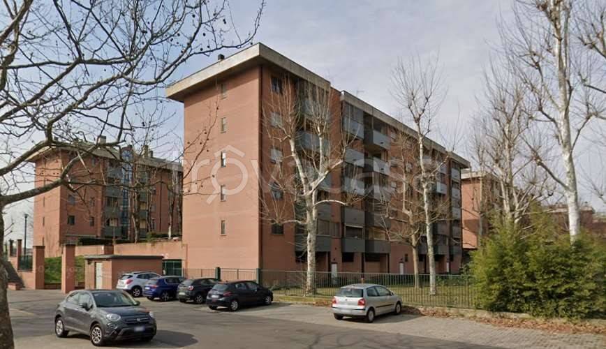 immagine annuncio 12 di 15