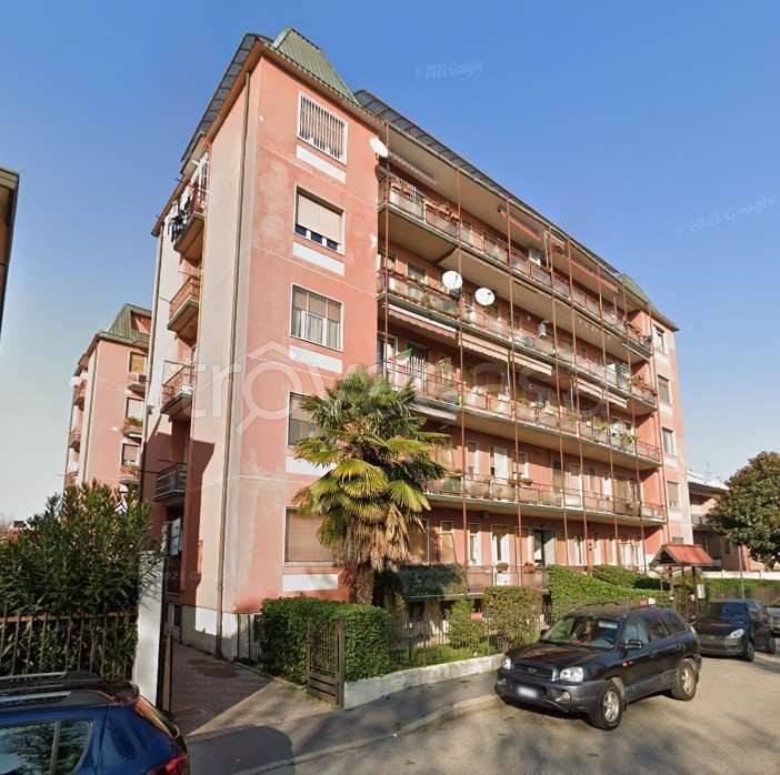 immagine annuncio 12 di 15