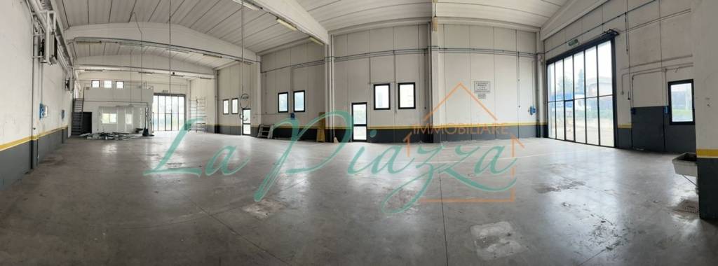 immagine annuncio 9 di 15