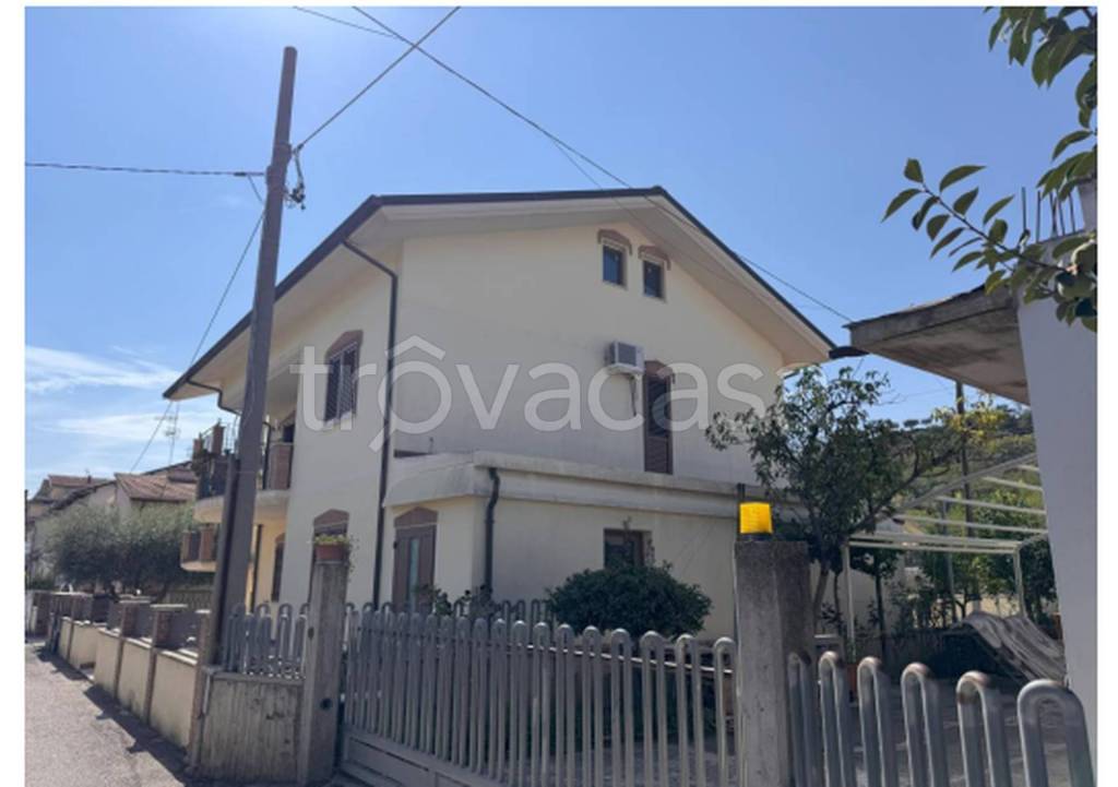 immagine annuncio 6 di 11