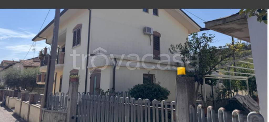 immagine annuncio 5 di 11