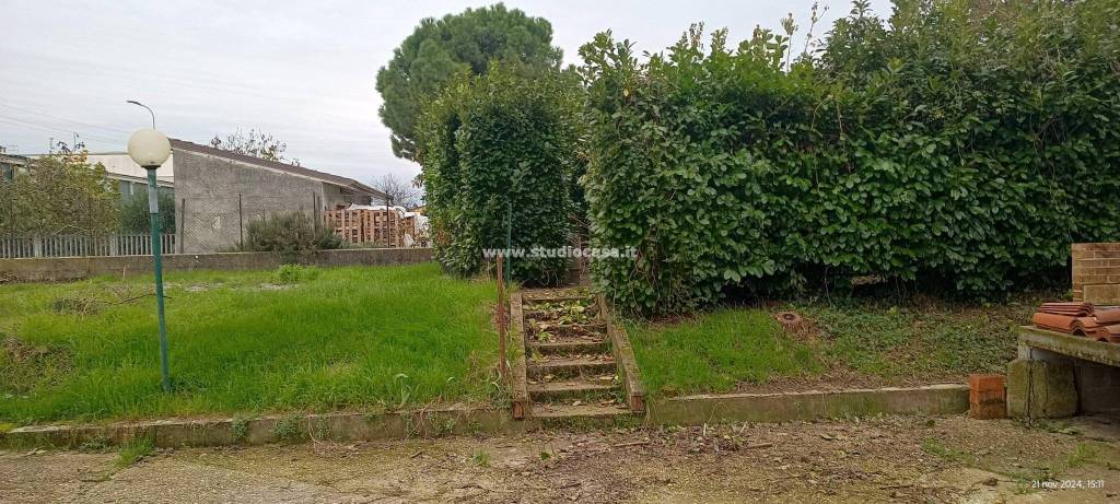 immagine annuncio 9 di 14