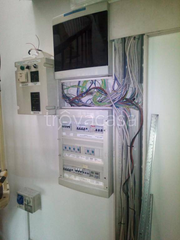 immagine annuncio 2 di 6