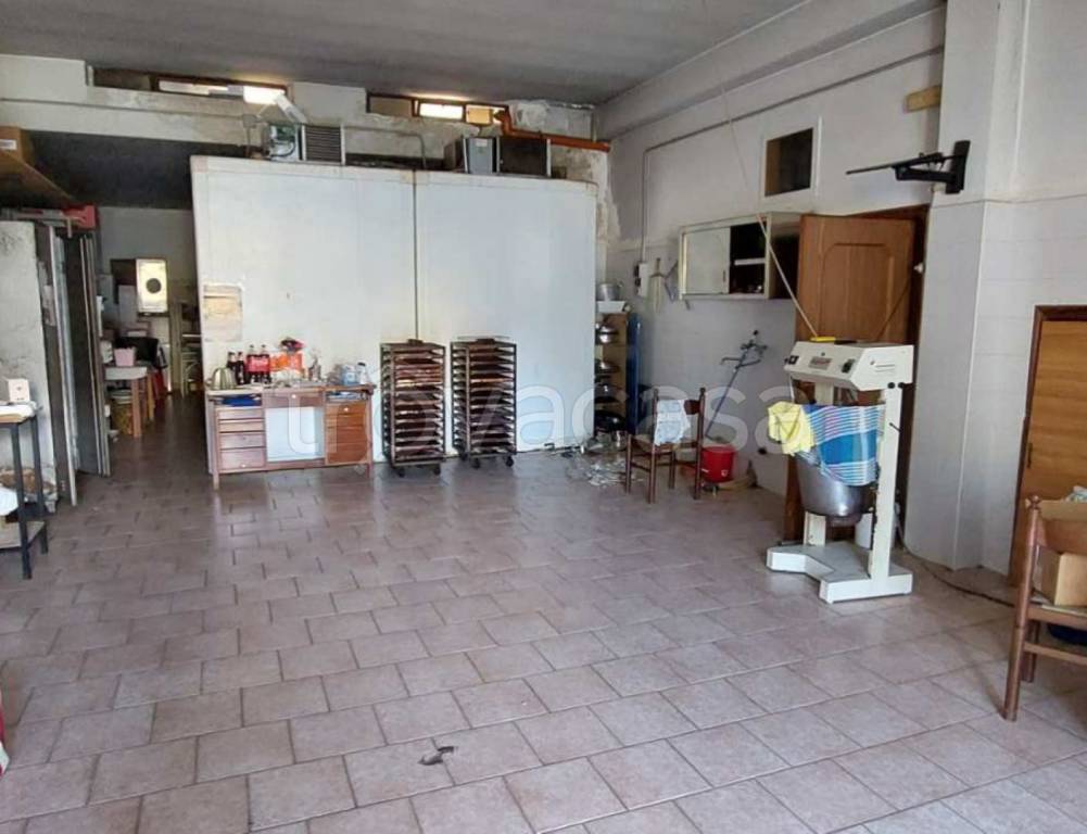 immagine annuncio 9 di 12