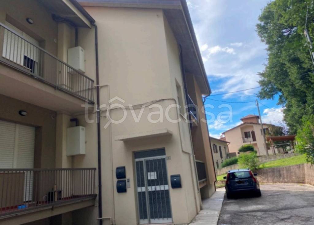 immagine annuncio 2 di 11