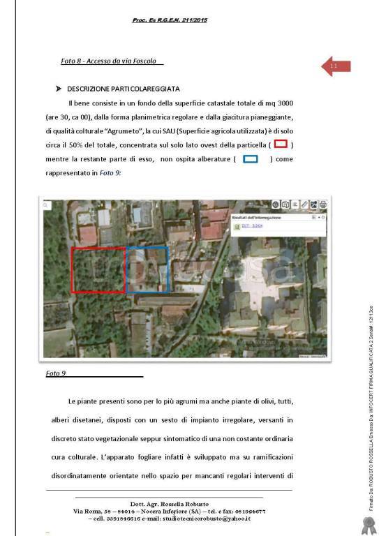 immagine annuncio 7 di 15