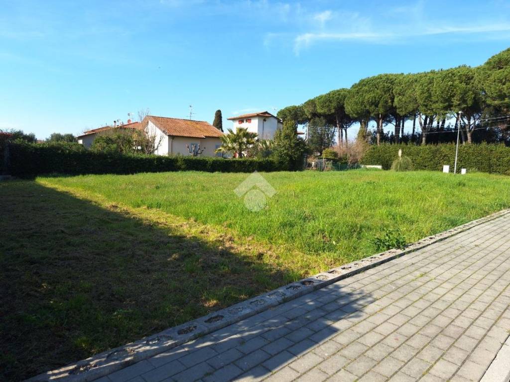 immagine annuncio 6 di 12