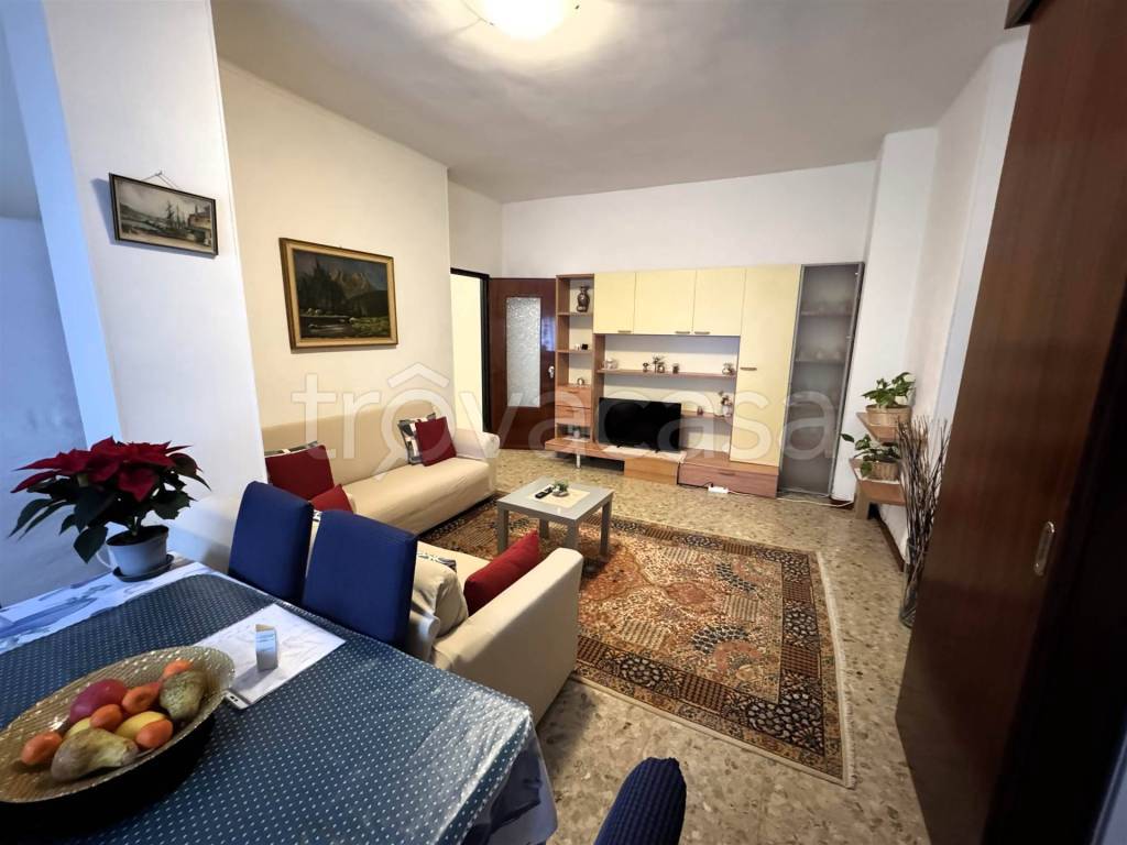 immagine annuncio 5 di 13