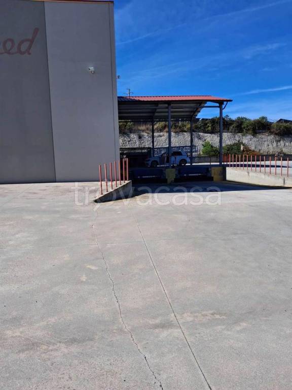 immagine annuncio 4 di 11