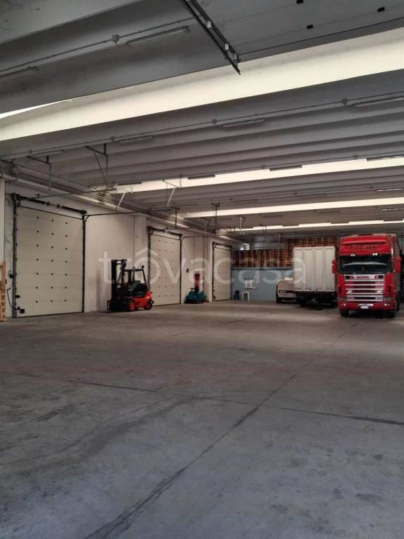 immagine annuncio 5 di 11