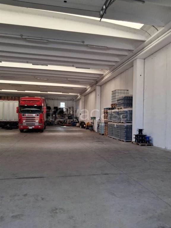 immagine annuncio 6 di 11