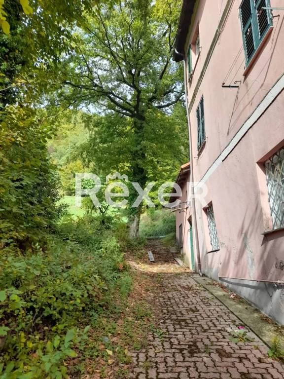 immagine annuncio 7 di 8