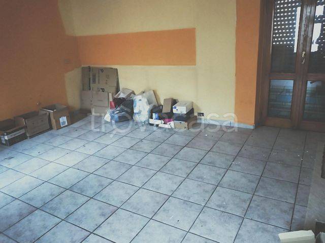 immagine annuncio 7 di 13