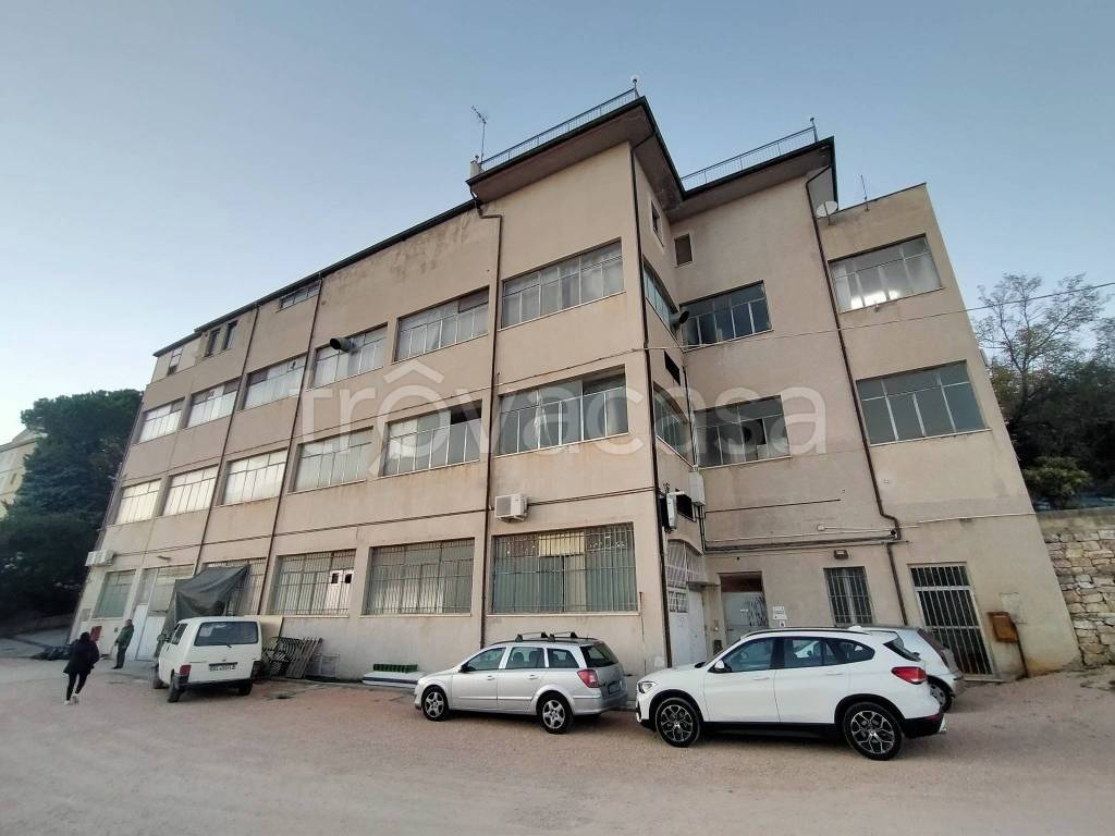 immagine annuncio 9 di 14