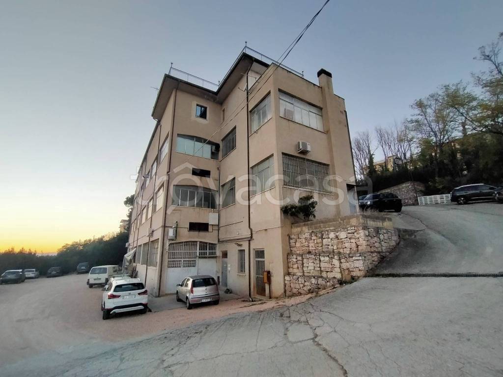 immagine annuncio 11 di 14