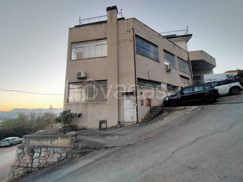 immagine annuncio 12 di 13