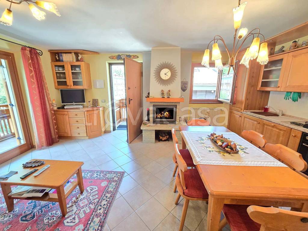 immagine annuncio 1 di 15