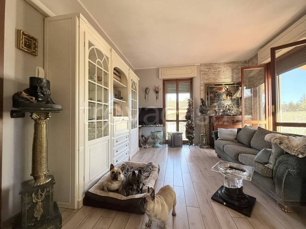 immagine annuncio 4 di 15