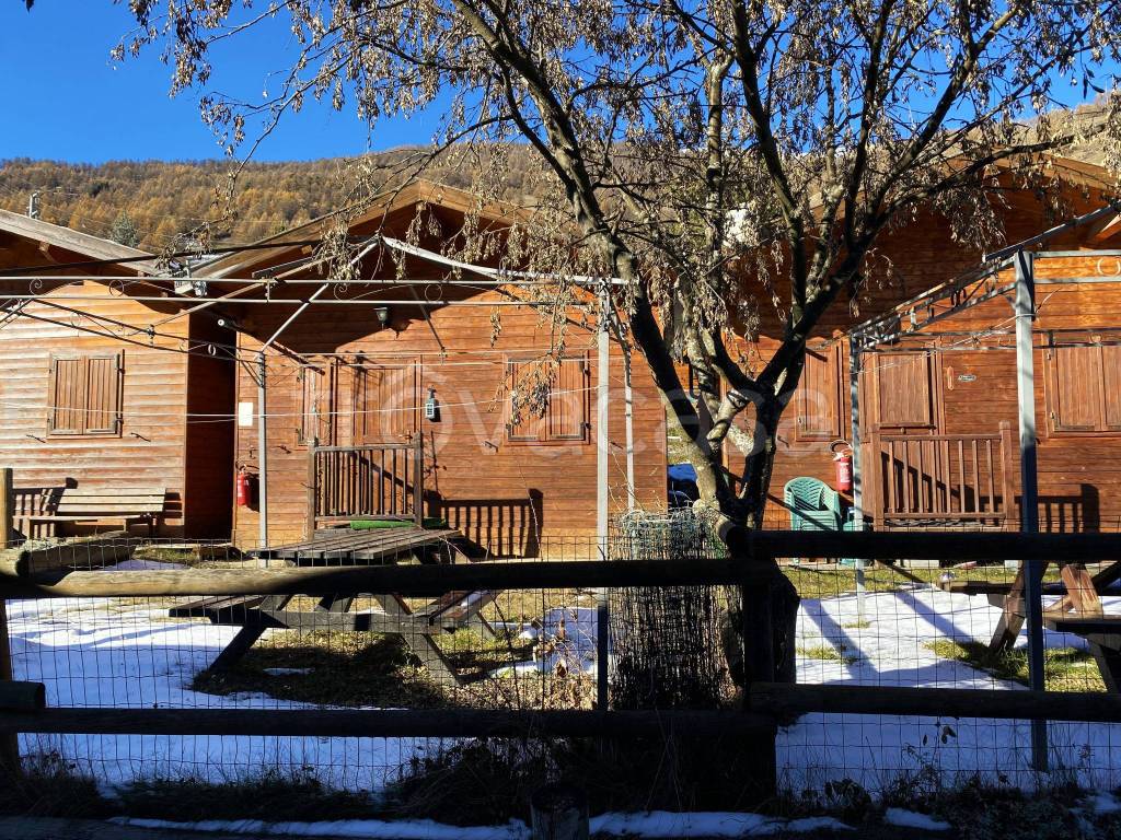 immagine annuncio 3 di 15