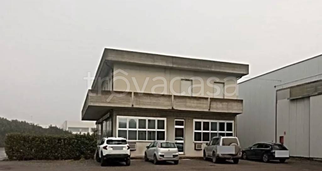 immagine annuncio 3 di 13