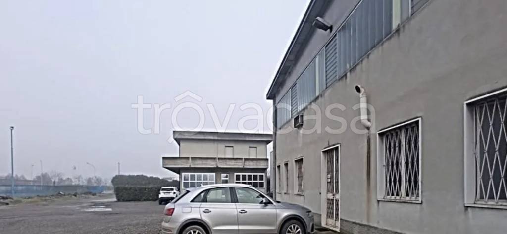 immagine annuncio 4 di 13