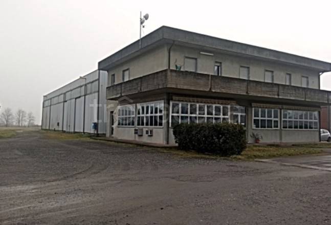 immagine annuncio 8 di 13