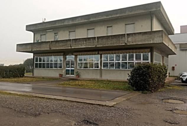 immagine annuncio 9 di 13