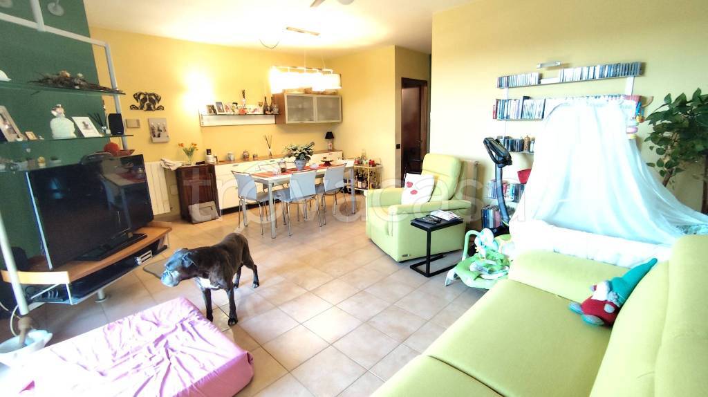 immagine annuncio 2 di 15