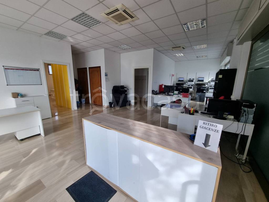 immagine annuncio 3 di 7