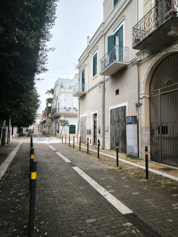 immagine annuncio 3 di 14