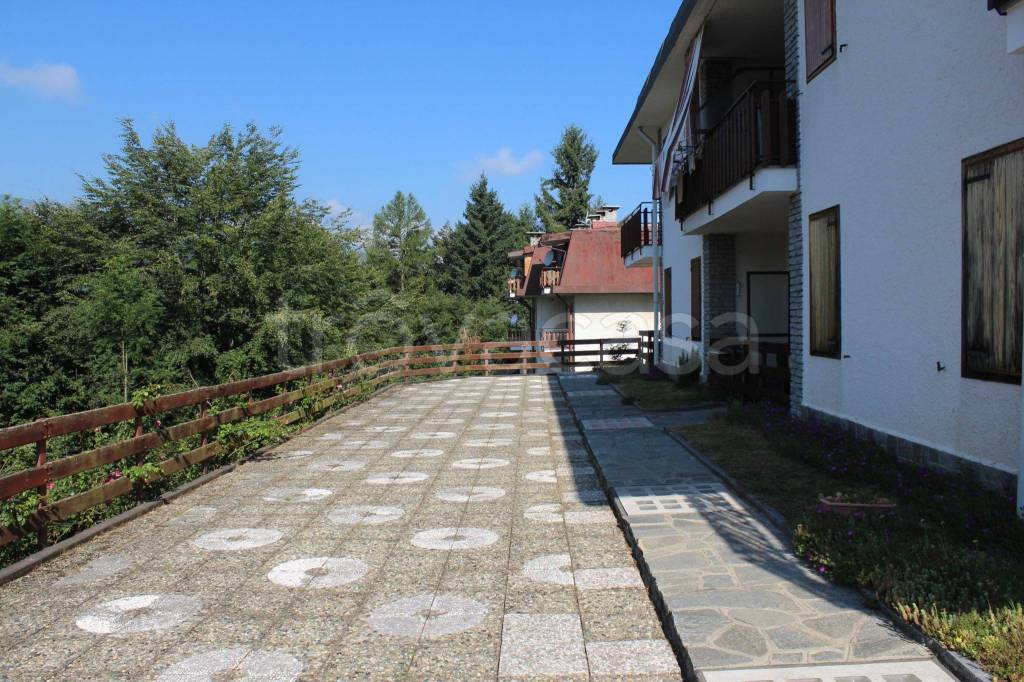 immagine annuncio 2 di 13